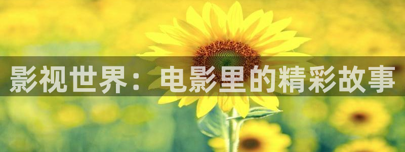嫩草影院久久久一二