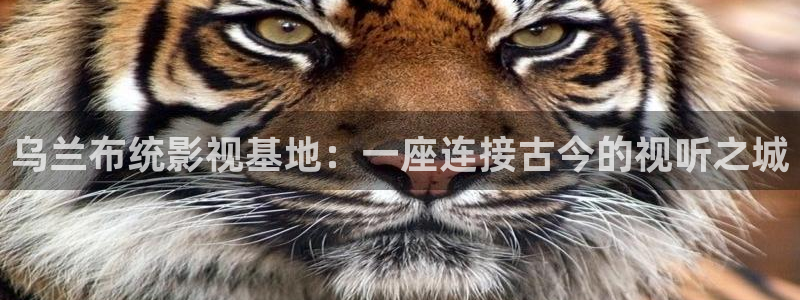www.嫩草影院.com