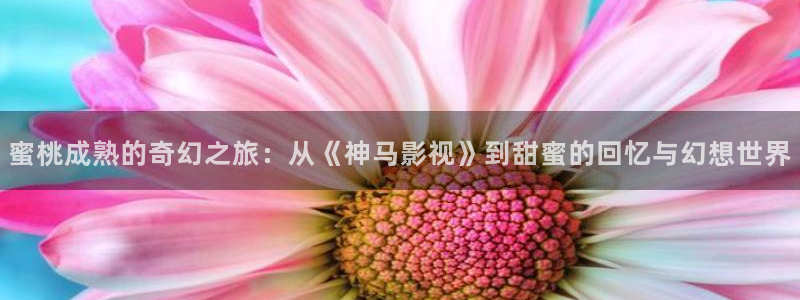 嫩草影院ncyy