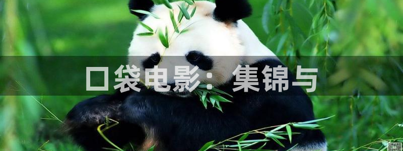 嫩草影院永久地址